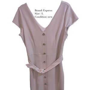 Express Button Down Belted Blush Dress
